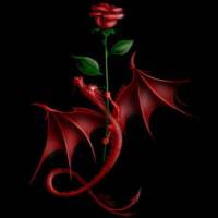 RedRose