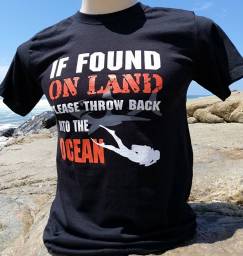 If found on Land.jpeg