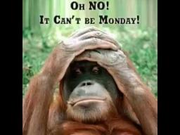 Oh no monday